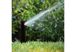 Alles, was Sie über das Bewässern Ihres Gartens wissen müssen - Ein Leitfaden für effizientes Gartenbewässerungssystem
